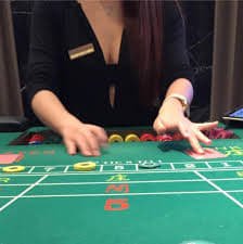 365 casino